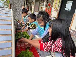 環境圖片
