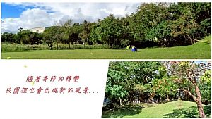 環境圖片