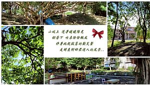 環境圖片