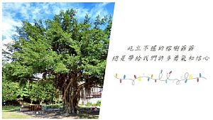 環境圖片