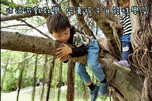環境圖片