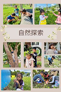 環境圖片
