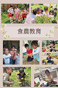 環境圖片
