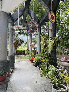 環境圖片