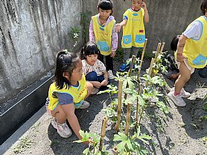 環境圖片