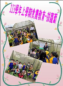 環境圖片