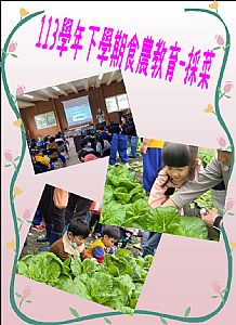 環境圖片