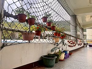 環境圖片