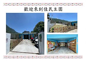 環境圖片